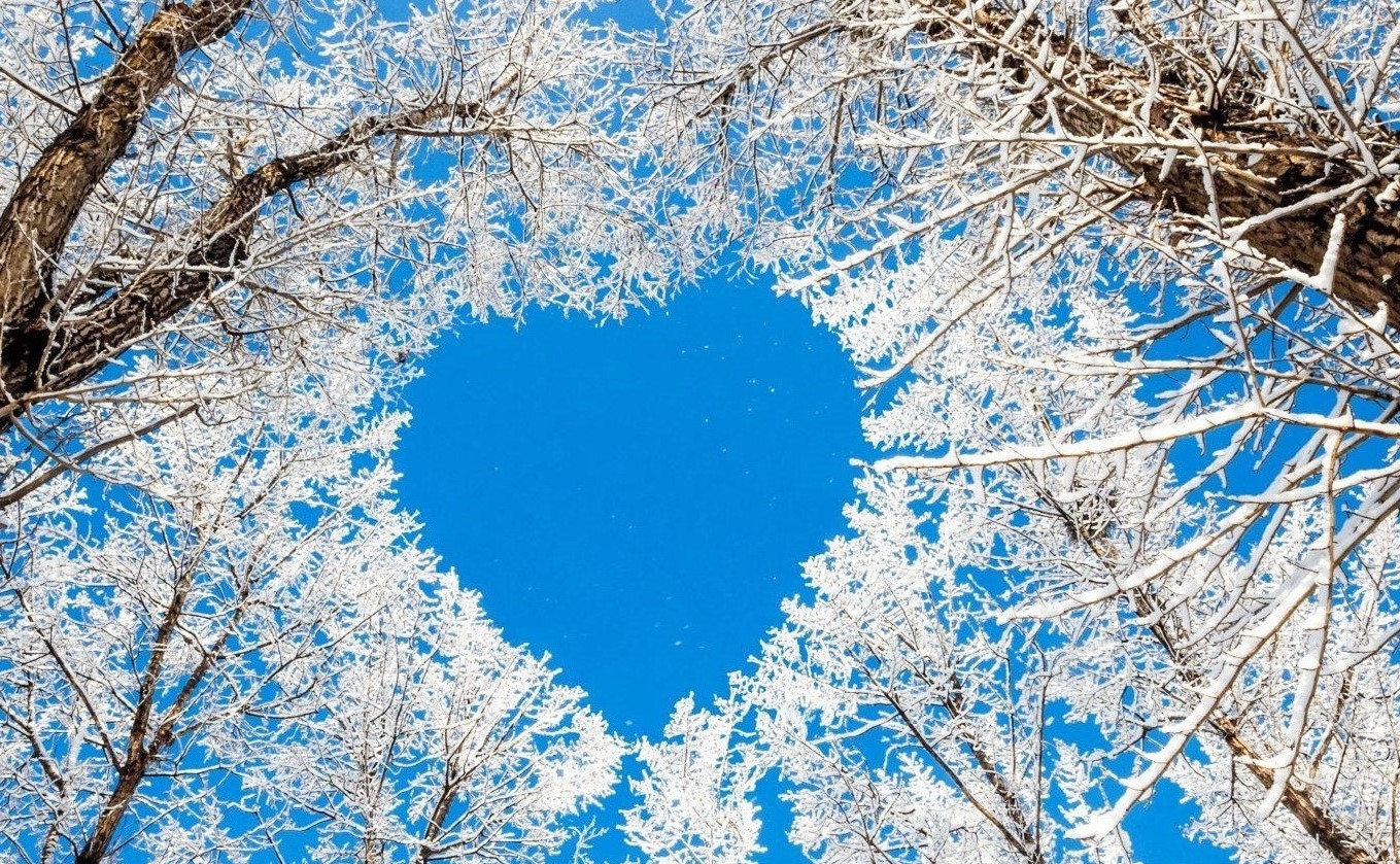 “ Decembarski eko kutak ”